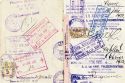 Страницы паспорта В. М. Шица 